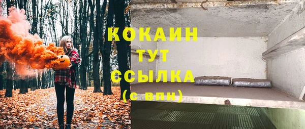 соль курить ск Пересвет