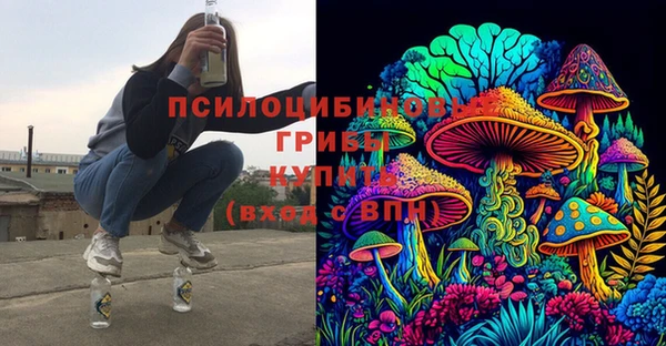 2c-b Гатчина
