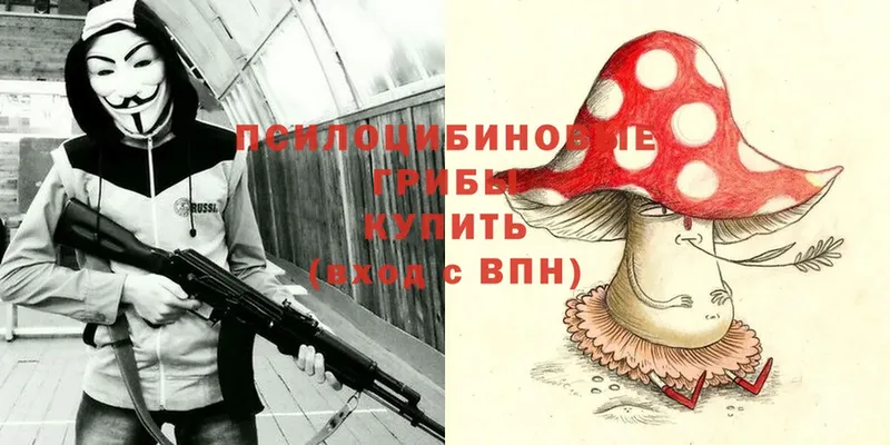 Псилоцибиновые грибы Magic Shrooms  где найти   Бодайбо 